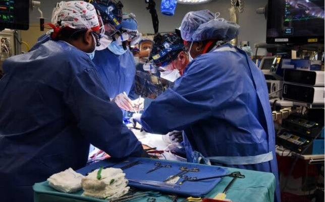 人类首次接受猪心臟移植為成千上万需要器官的人带来希望