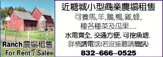 近糖城小型商業農場租售