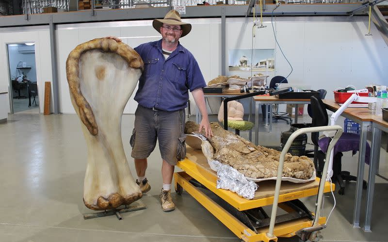 澳洲發現本土最大恐龍新物種    科學家爲它戴皇冠
