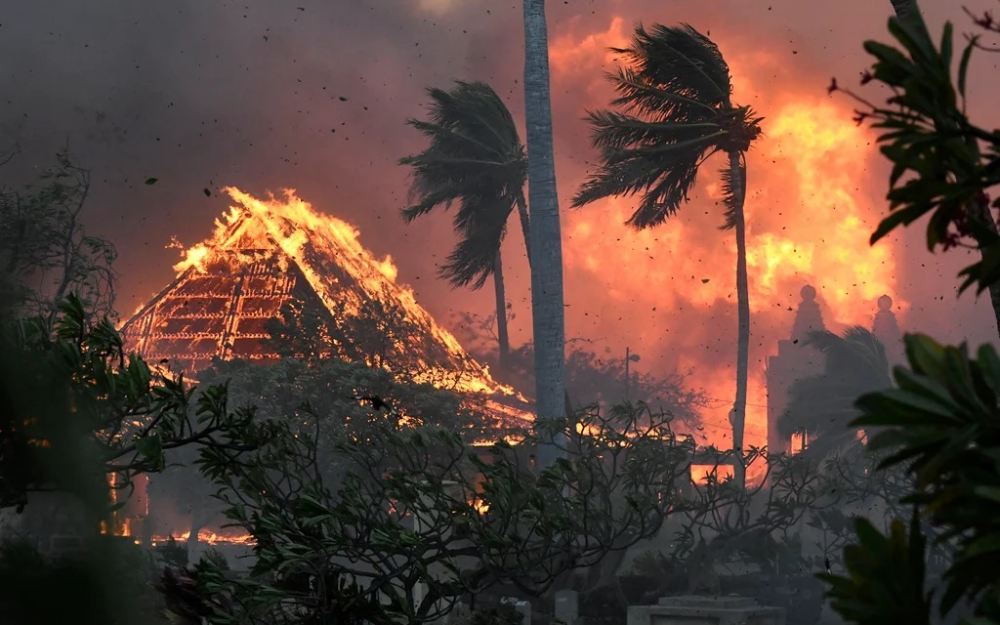 “末日”野火襲擊夏威夷毛伊島    至少36人死亡