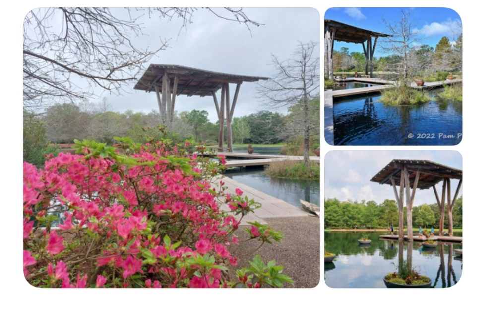 回到故乡贝蒙市・游德州香格里拉