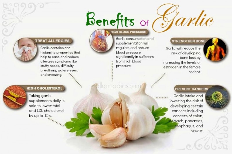 benefits of garlic