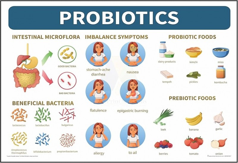 A poster of probiotics

Description automatically generated