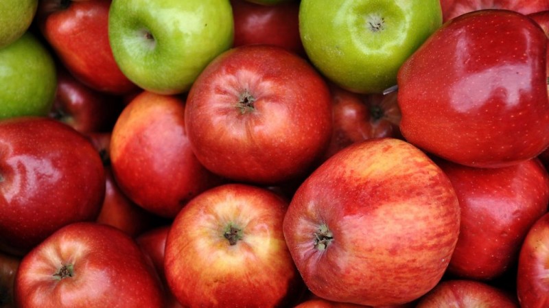 A pile of apples

Description automatically generated with medium confidence