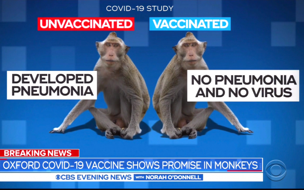 接种牛津大学疫苗的猴子的试验结果鼓舞人心
