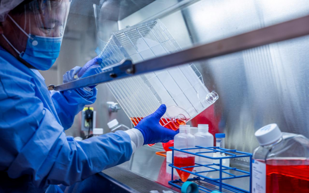 匹兹堡大学科学家研发岀潜在冠状病毒疫苗