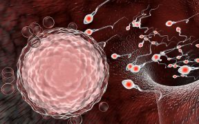 男性精液中發現冠狀病毒  增加性傳播的可能性