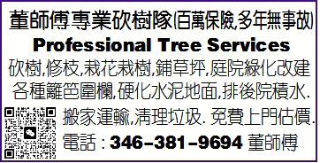 董師傅專業伐樹隊 (百萬保險,多年無事故)