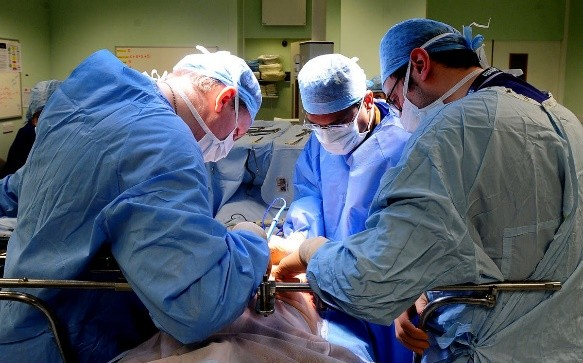美国外科医生在纽约大学成功将猪肾移植到人体中  这项重大进步有助於缓解移植人体器官的严重短缺
