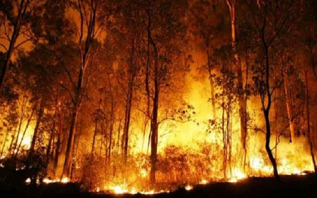 熱浪席卷歐洲，野火在法國、西班牙和葡萄牙肆虐