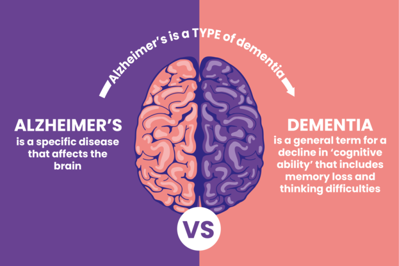 A brain vs. dementia

AI-generated content may be incorrect.