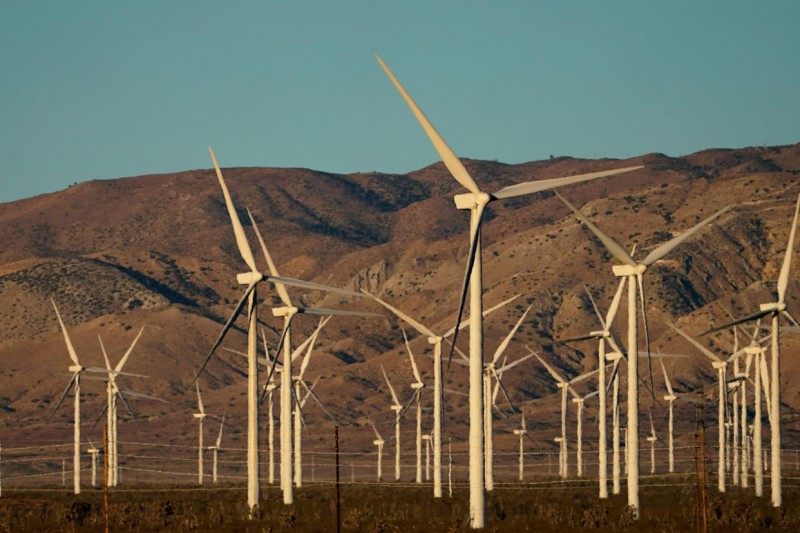 A group of wind turbines

Description automatically generated with low confidence