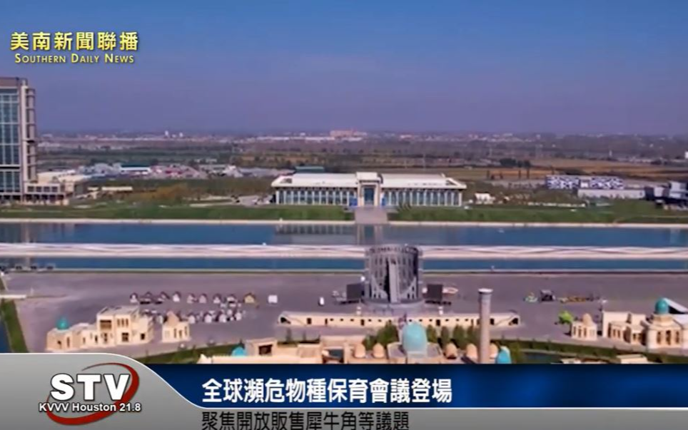 全球瀕危物種保育會議登場　聚焦開放販售犀牛角等議題