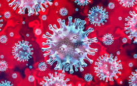 为什么有些未接触过新冠病毒的人群可能已经有一定的免疫力？