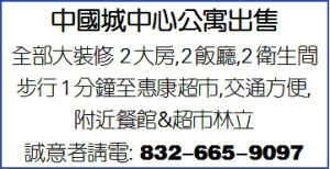 中国城中心公寓出售