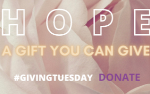 光盐社需要您们的帮助及爱心