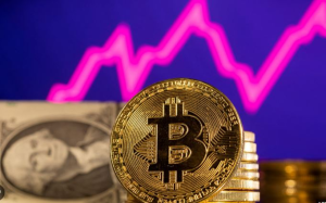 比特币价格再创新高 突破11万3700美元