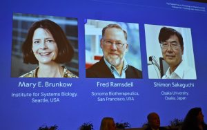 2025年诺贝尔医学奖揭晓：三位科学家因发现“免疫系统自我保护机制”获奖