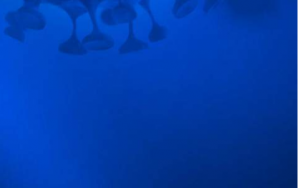 0624 最新疫情報告 & 疫情相關新聞