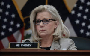 利兹·切尼和1 月 6 日特别委员会隐瞒了特朗普保护国会大厦的证据