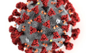 加强防疫 美卫生部请国会增拨1.36亿美元