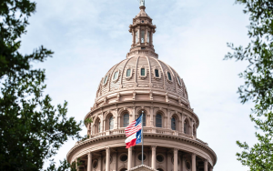 德州参议院通过由共和党支持的投票改革法案