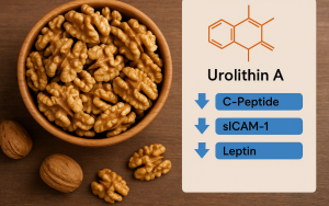 不只能补脑，它更是肠道界的「超级英雄」，最新研究揭示：可改变发炎与癌症风险