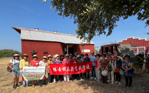 震撼迷离    包罗万象    千姿百态