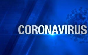 06/11 最新疫情报告 & 哈县将颁布新令