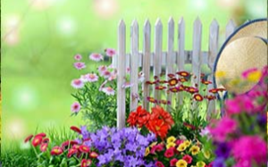 Katy家居與園藝展，美化您的家，一個展會中有如此多看點，太值了!