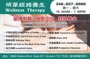 Wellness Therapy 佰草經絡養生