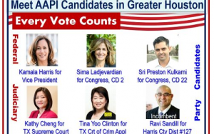地方選舉要投誰?帶你看大德州地區的12位亞太裔候选人