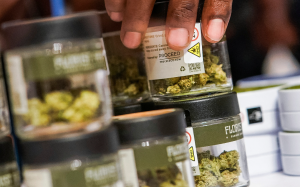 美政府提案大麻危害降級 料為拜登加分