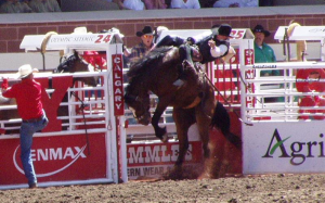 2021休斯顿牛仔节取消开场秀