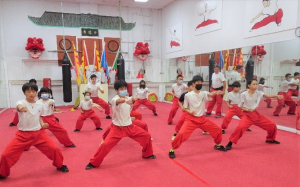 推广中国传统正宗少林功夫、让更多人了解中国传统武术  少林寺文化中心上周六主办《少林寺功夫开放日》