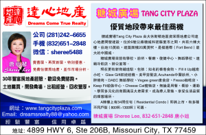 DREAM  達心地產-唐心琴