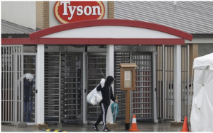 因為冠状病毒感染期间 泰森董事长警告称“肉类短缺” 川普命令肉类和家禽加工厂在冠状病毒期间保持开放