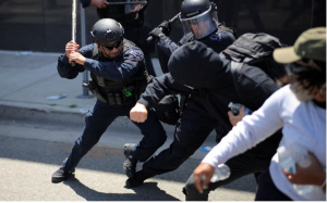 反抓捕非法移民大示威 社会现象的几点省思