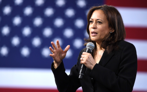 哈裏斯:“如果當選總統,人人合法擁有槍支”   她還是民主黨人嗎?