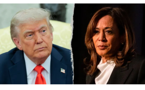 特朗普撤销哈里斯特勤保护：安全保障背后的政治信号