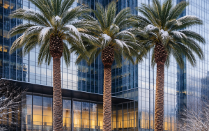 嚴寒過後——我們面前的社會之變化