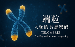 逆转时光: 揭开生命时鐘的祕密  「端粒」的重要性，如何延缓衰老