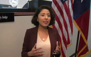 休斯顿市长为布隆伯格背书   哈里斯县县长为沃伦站台