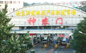 三文鱼害死“猫” ——疫情冲击下“新发地”模式还能走多远