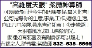 "高維度天眼" 紫微神算師