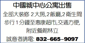 中國城中心公寓出售